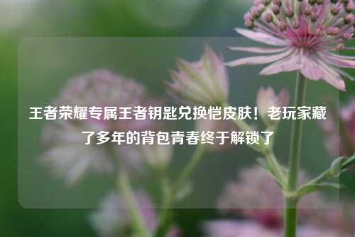 王者荣耀专属王者钥匙兑换恺皮肤！老玩家藏了多年的背包青春终于解锁了