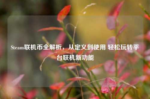 Steam联机币全解析,从定义到使用 轻松玩转平台联机新功能