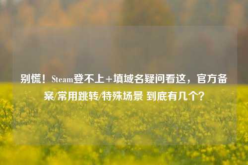 别慌!Steam登不上+填域名疑问看这,官方备案/常用跳转/特殊场景 到底有几个?