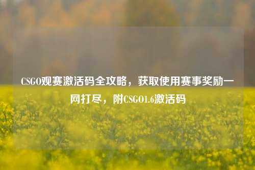 CSGO观赛激活码全攻略,获取使用赛事奖励一网打尽,附CSGO1.6激活码