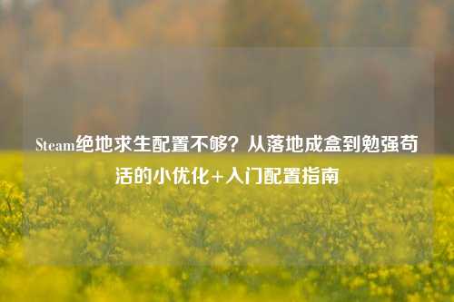 Steam绝地求生配置不够?从落地成盒到勉强苟活的小优化+入门配置指南