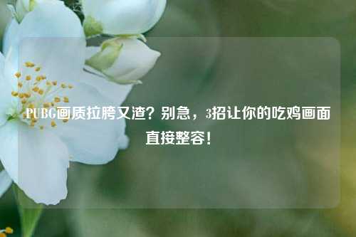 PUBG画质拉胯又渣？别急，3招让你的吃鸡画面直接整容！