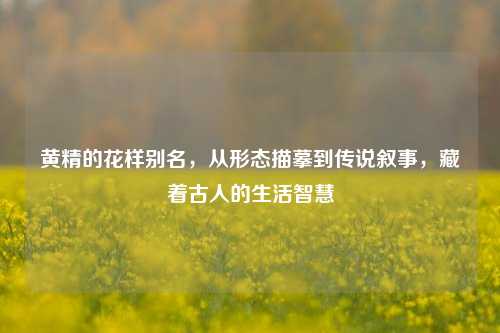黄精的花样别名,从形态描摹到传说叙事,藏着古人的生活智慧