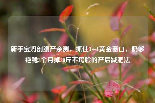 新手宝妈剖腹产亲测,抓住3+1黄金窗口,奶够疤稳3个月掉20斤不垮脸的产后减肥法