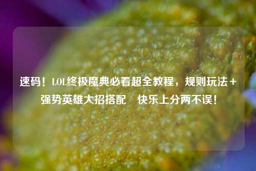 速码!LOL终极魔典必看超全教程,规则玩法+强势英雄大招搭配 快乐上分两不误!