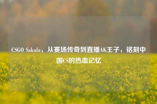 CSGO Sakula,从赛场传奇到直播AK王子,铭刻中国CS的热血记忆