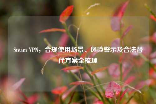 Steam VPN,合规使用场景、风险警示及合法替代方案全梳理