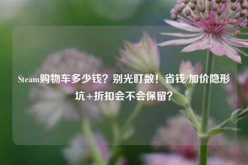 Steam购物车多少钱?别光盯数!省钱/加价隐形坑+折扣会不会保留?
