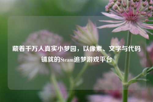 藏着千万人真实小梦园,以像素、文字与代码铺就的Steam追梦游戏平台