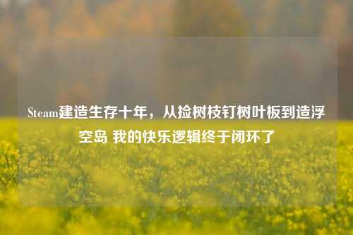 Steam建造生存十年,从捡树枝钉树叶板到造浮空岛 我的快乐逻辑终于闭环了