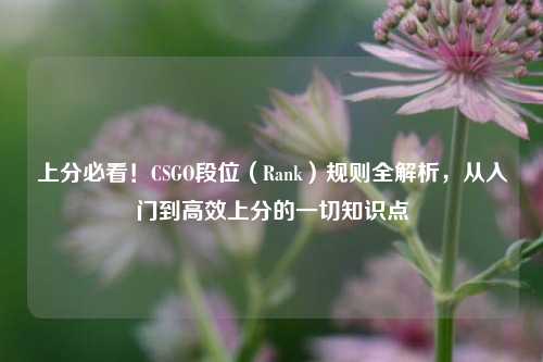 上分必看！CSGO段位（Rank）规则全解析，从入门到高效上分的一切知识点