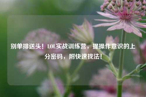 别单排送头！LOL实战训练营，提操作意识的上分密码，附快速找法！
