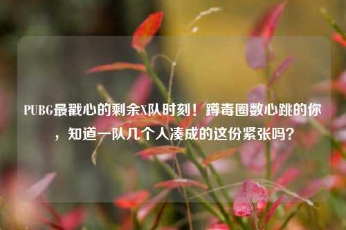 PUBG最戳心的剩余X队时刻!蹲毒圈数心跳的你,知道一队几个人凑成的这份紧张吗?