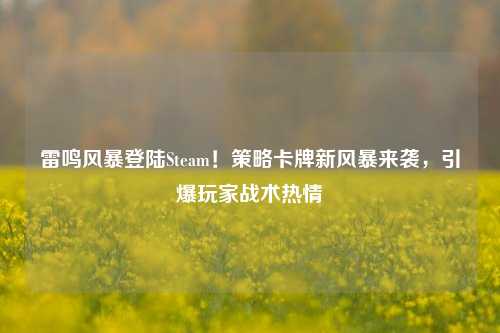 雷鸣风暴登陆Steam!策略卡牌新风暴来袭,引爆玩家战术热情
