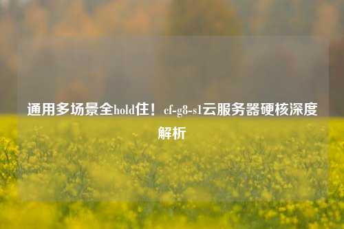 通用多场景全hold住!cf-g8-s1云服务器硬核深度解析