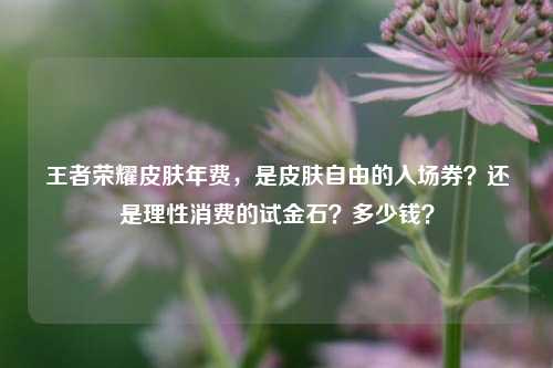 王者荣耀皮肤年费,是皮肤自由的入场券?还是理性消费的试金石?多少钱?