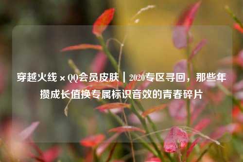 穿越火线×QQ会员皮肤｜2020专区寻回，那些年攒成长值换专属标识音效的青春碎片
