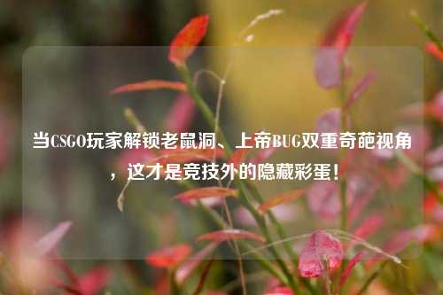 当CSGO玩家解锁老鼠洞、上帝BUG双重奇葩视角，这才是竞技外的隐藏彩蛋！