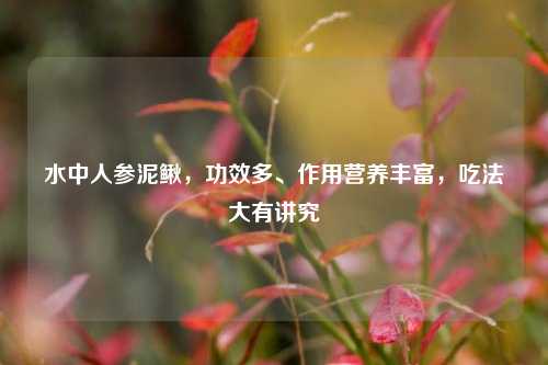 水中人参泥鳅,功效多、作用营养丰富,吃法大有讲究