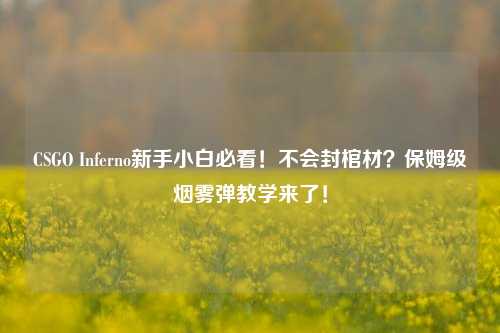 CSGO Inferno新手小白必看!不会封棺材?保姆级烟雾弹教学来了!