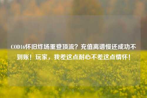 COD16怀旧炸场重登顶流?充值离谱慢还成功不到账!玩家,我差这点耐心不差这点情怀!