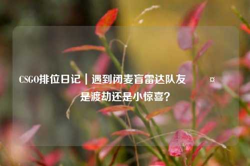 CSGO排位日记｜遇到闭麦盲雷达队友🤯 是渡劫还是小惊喜？