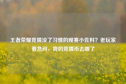 王者荣耀竞猜没了习惯的观赛小佐料?老玩家着急问,我的竞猜币去哪了