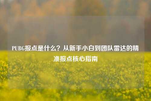PUBG报点是什么？从新手小白到团队雷达的精准报点核心指南