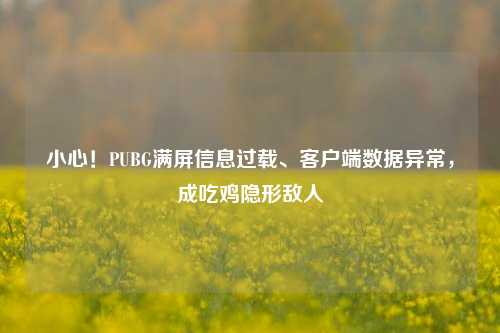 小心!PUBG满屏信息过载、客户端数据异常,成吃鸡隐形敌人