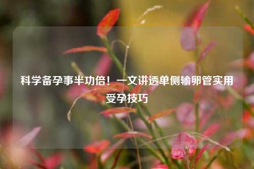 科学备孕事半功倍!一文讲透单侧输卵管实用受孕技巧