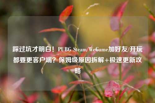 踩过坑才明白!PUBG Steam/WeGame加好友/开玩都要更客户端?保姆级原因拆解+极速更新攻略