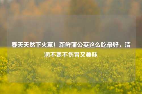春天天然下火草!新鲜蒲公英这么吃最好,清润不寒不伤胃又美味
