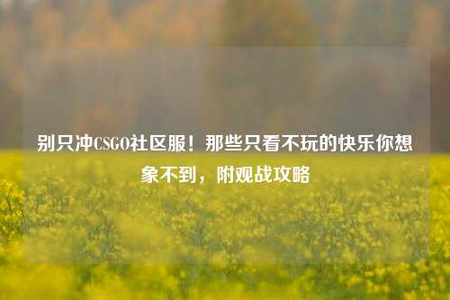 别只冲CSGO社区服！那些只看不玩的快乐你想象不到，附观战攻略