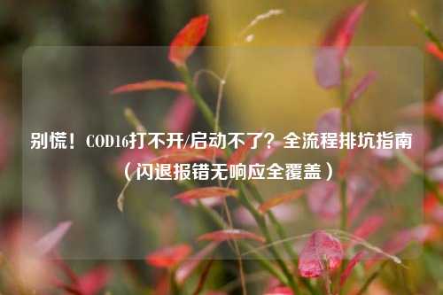 别慌！COD16打不开/启动不了？全流程排坑指南（闪退报错无响应全覆盖）