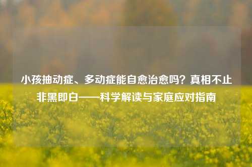 小孩抽动症、多动症能自愈治愈吗?真相不止非黑即白——科学解读与家庭应对指南