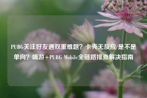 PUBG关注好友遇双重难题？卡壳无反应/是不是单向？端游+PUBG Mobile全链路排查解决指南