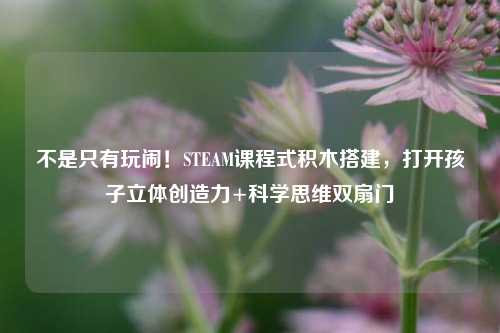不是只有玩闹!STEAM课程式积木搭建,打开孩子立体创造力+科学思维双扇门
