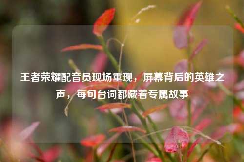 王者荣耀配音员现场重现，屏幕背后的英雄之声，每句台词都藏着专属故事