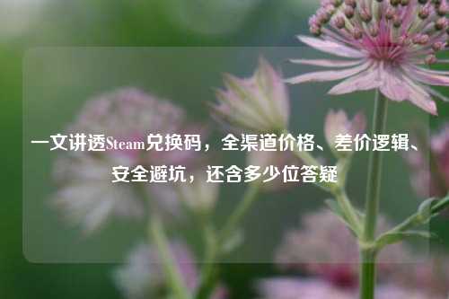 一文讲透Steam兑换码，全渠道价格、差价逻辑、安全避坑，还含多少位答疑