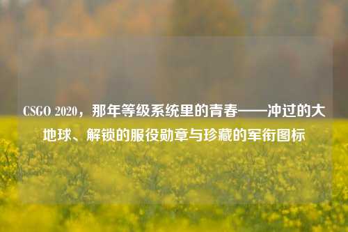 CSGO 2020,那年等级系统里的青春——冲过的大地球、解锁的服役勋章与珍藏的军衔图标