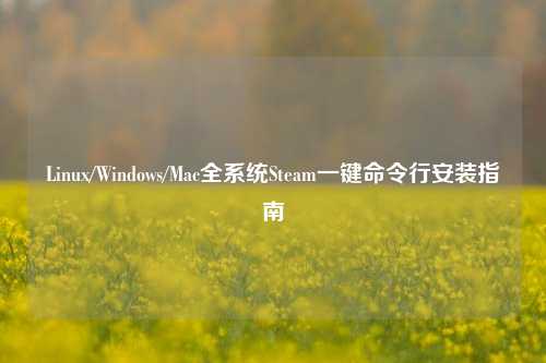 Linux/Windows/Mac全系统Steam一键命令行安装指南