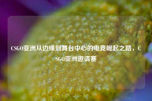 CSGO亚洲从边缘到舞台中心的电竞崛起之路,CSGO亚洲邀请赛