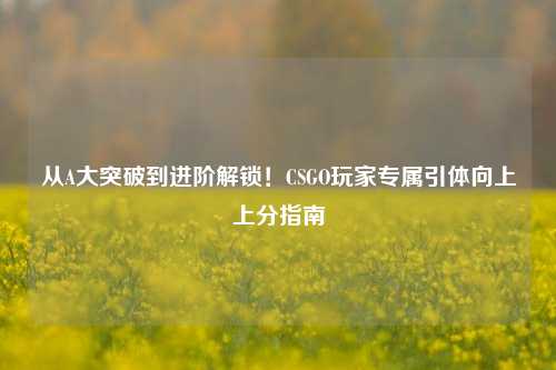 从A大突破到进阶解锁!CSGO玩家专属引体向上上分指南