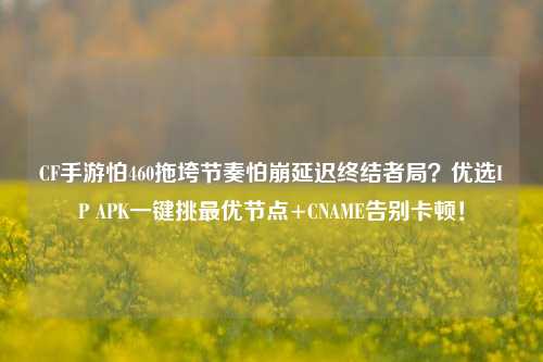 CF手游怕460拖垮节奏怕崩延迟终结者局?优选IP APK一键挑最优节点+CNAME告别卡顿!