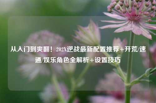 从入门到爽翻！202X逆战最新配置推荐+开荒/速通/娱乐角色全解析+设置技巧