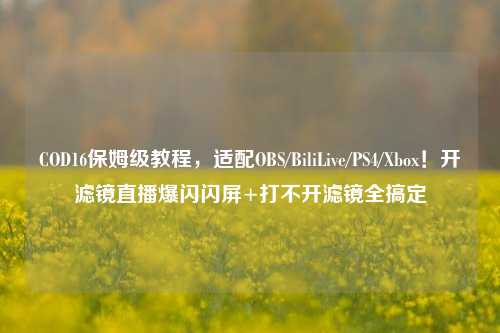 COD16保姆级教程,适配OBS/BiliLive/PS4/Xbox!开滤镜直播爆闪闪屏+打不开滤镜全搞定