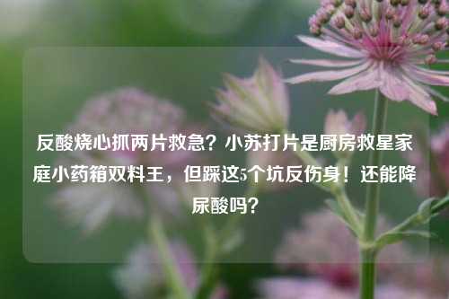 反酸烧心抓两片救急?小苏打片是厨房救星家庭小药箱双料王,但踩这5个坑反伤身!还能降尿酸吗?