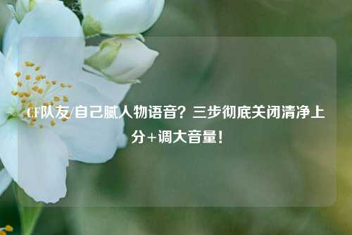 CF队友/自己腻人物语音？三步彻底关闭清净上分+调大音量！