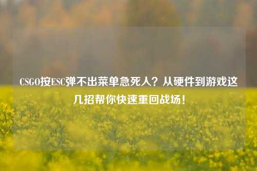CSGO按ESC弹不出菜单急死人?从硬件到游戏这几招帮你快速重回战场!