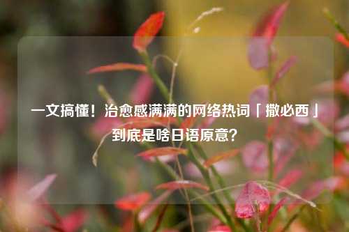 一文搞懂!治愈感满满的网络热词「撒必西」到底是啥日语原意?